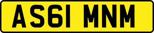 AS61MNM