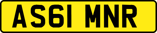 AS61MNR