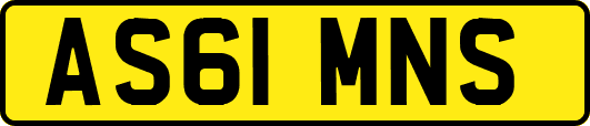 AS61MNS
