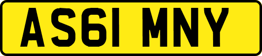 AS61MNY