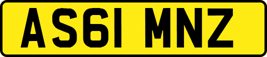 AS61MNZ