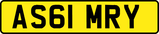 AS61MRY