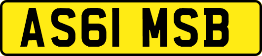 AS61MSB