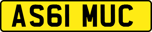 AS61MUC