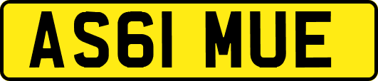 AS61MUE