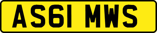 AS61MWS