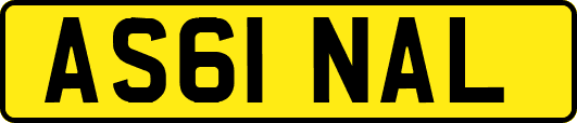 AS61NAL