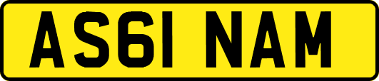 AS61NAM