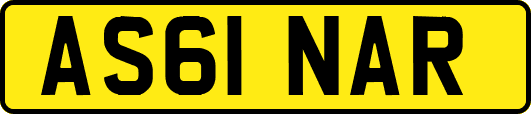 AS61NAR