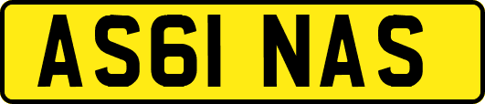 AS61NAS