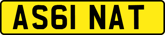 AS61NAT