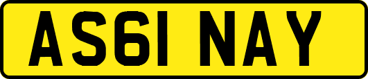 AS61NAY