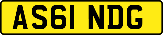 AS61NDG