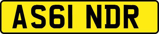 AS61NDR