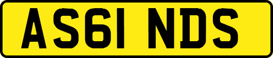 AS61NDS