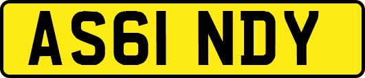 AS61NDY