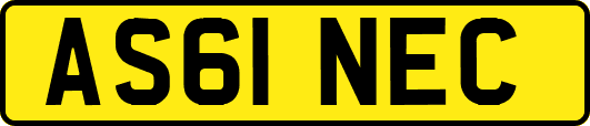 AS61NEC
