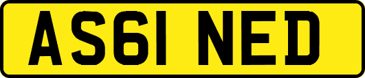 AS61NED