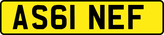 AS61NEF