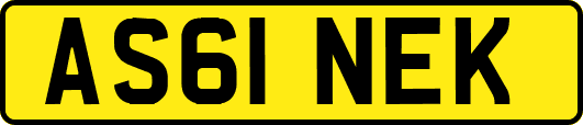 AS61NEK