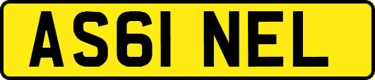 AS61NEL