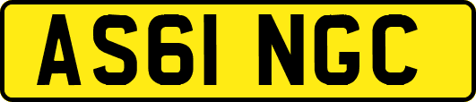AS61NGC