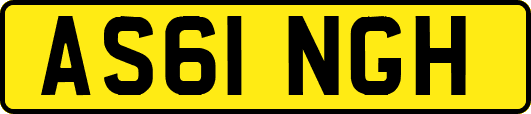 AS61NGH