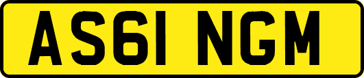 AS61NGM