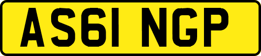 AS61NGP
