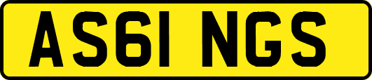 AS61NGS
