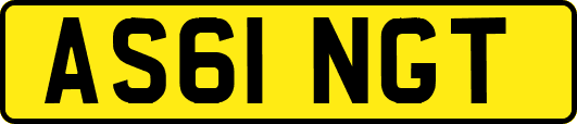 AS61NGT
