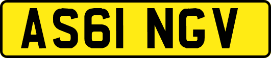 AS61NGV
