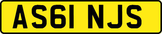 AS61NJS