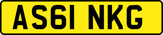 AS61NKG