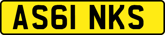 AS61NKS