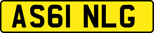AS61NLG