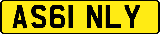 AS61NLY