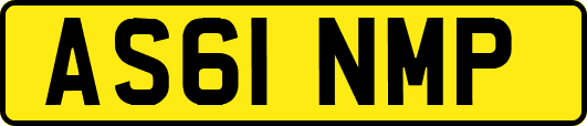 AS61NMP
