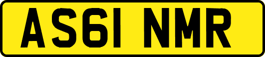AS61NMR