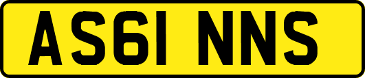 AS61NNS