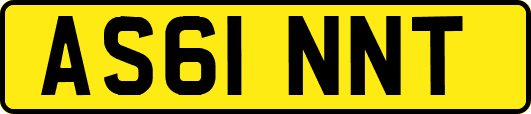 AS61NNT