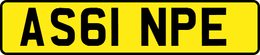 AS61NPE