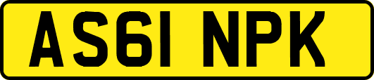 AS61NPK
