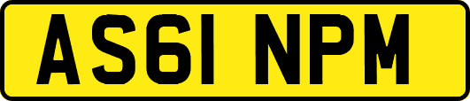 AS61NPM