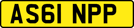 AS61NPP