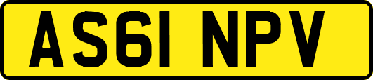 AS61NPV