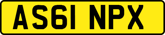 AS61NPX