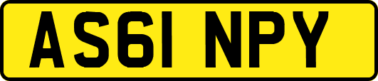 AS61NPY