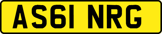 AS61NRG