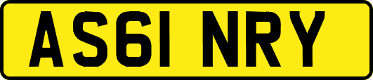 AS61NRY